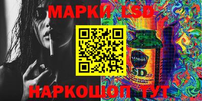 крисы Шелехов