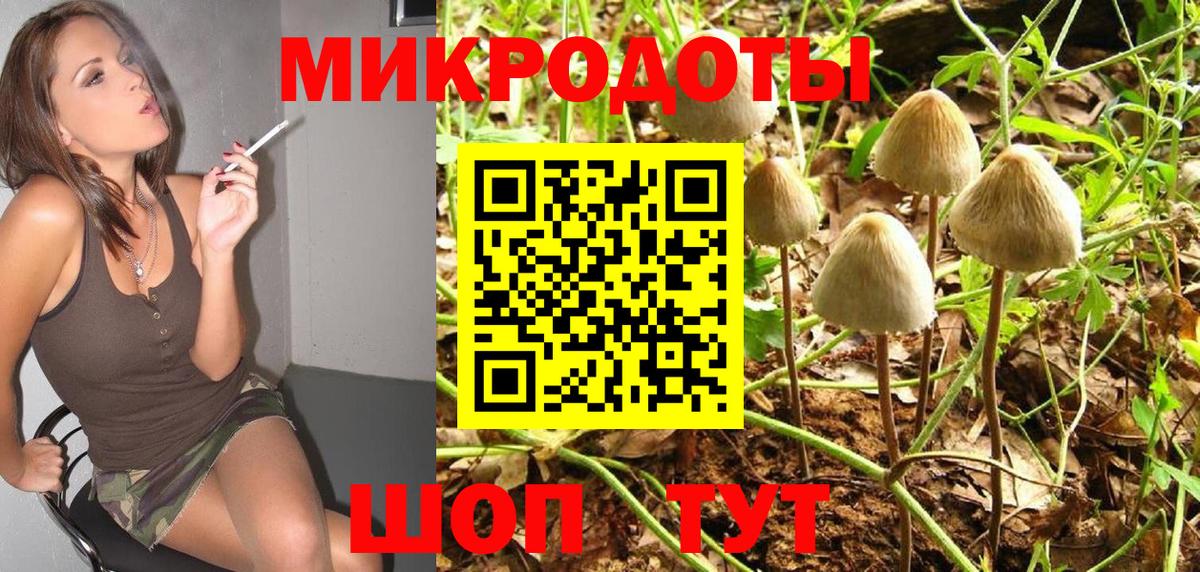 Псилоцибиновые грибы мицелий  Вход с VPN  Мичуринск  Псилоцибиновые грибы GOLDEN TEACHER 